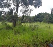 Terreno para Venda, em Bauru, bairro Tangaras